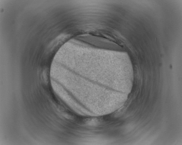 X0000076320074200610272015