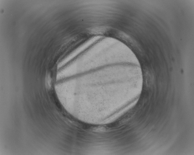 X0000076320075200610272015