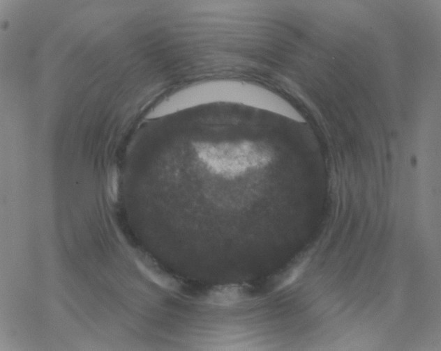 X0000076320076200610272015