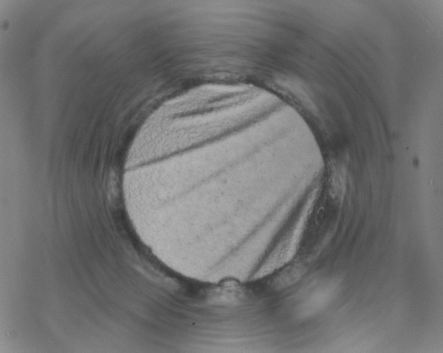 X0000076320077200610272015