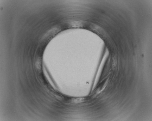 X0000076320078200610272015