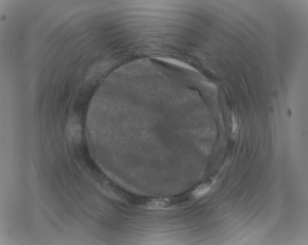 X0000076320080200610272015