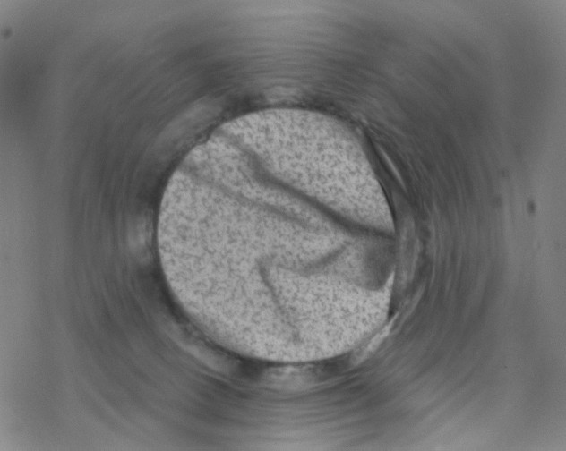 X0000076320082200610272015