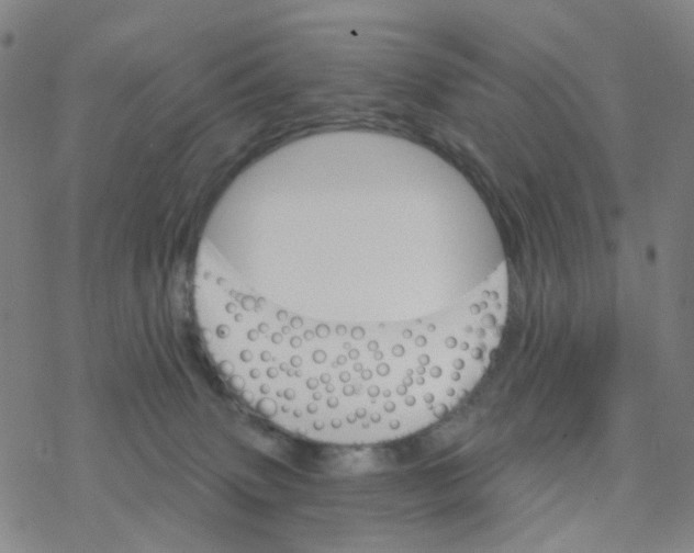 X0000076320083200610272015