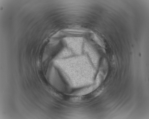 X0000076320084200610272015