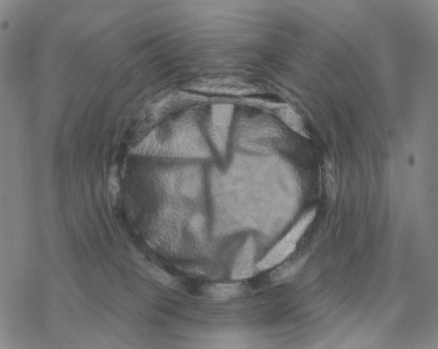 X0000076320085200610272015