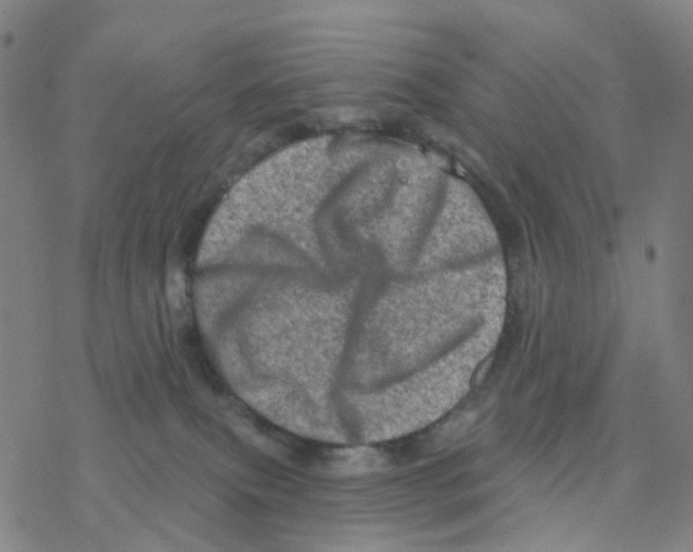 X0000076320087200610272015