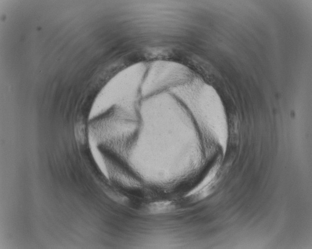 X0000076320090200610272015