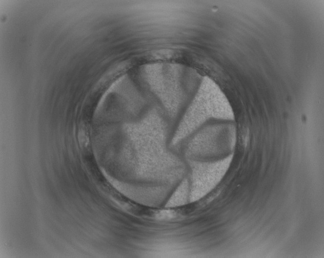 X0000076320091200610272015