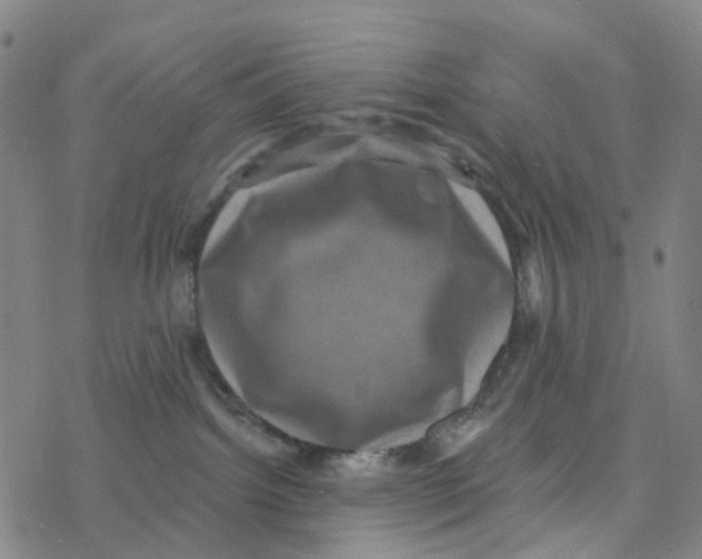 X0000076320092200610272015