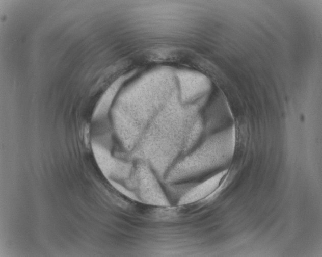 X0000076320094200610272015