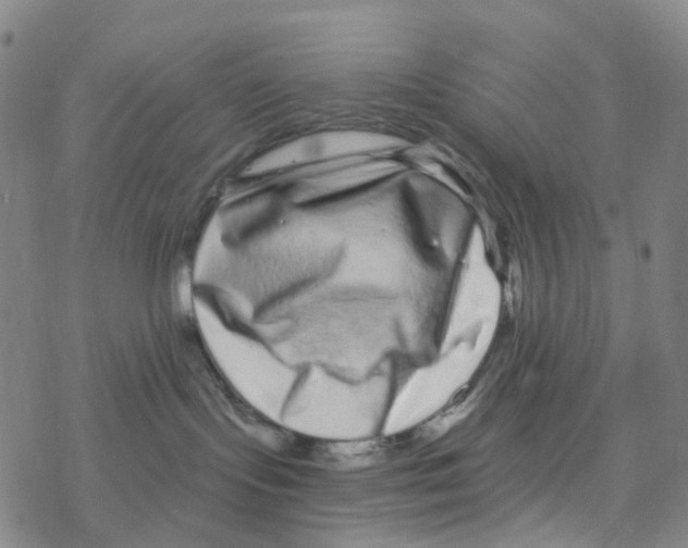 X0000076320095200610272015