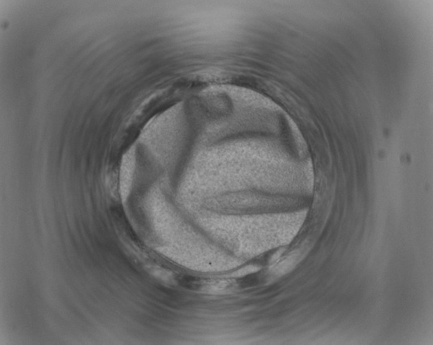 X0000076320096200610272015