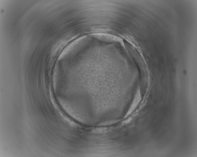 X0000076320097200610272014