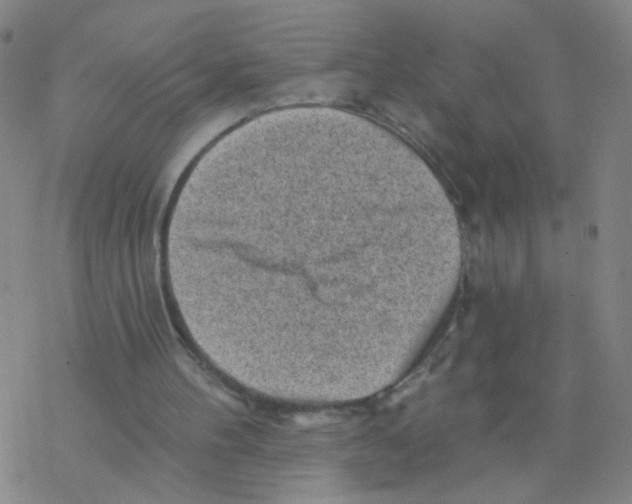 X0000076320100200610272014