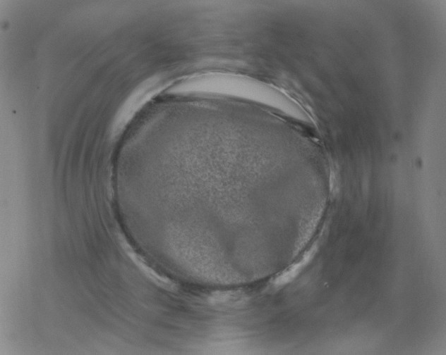 X0000076320101200610272014