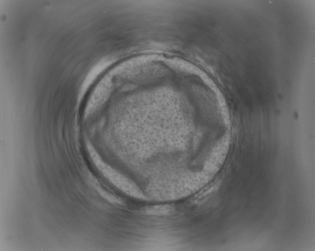 X0000076320102200610272014