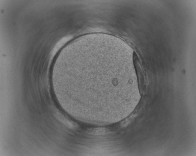 X0000076320104200610272014