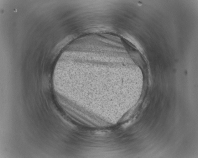 X0000076320105200610272014