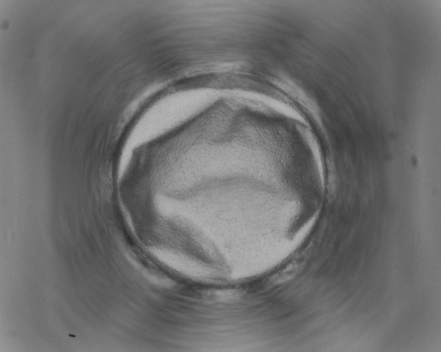 X0000076320107200610272014