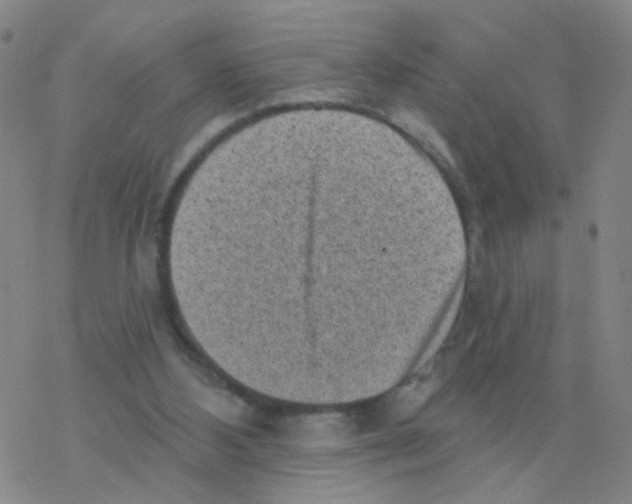 X0000076320108200610272014