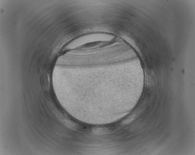 X0000076320109200610272014