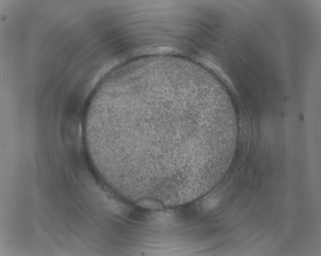 X0000076320110200610272014