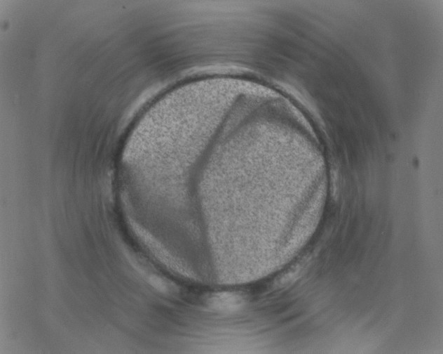 X0000076320111200610272014