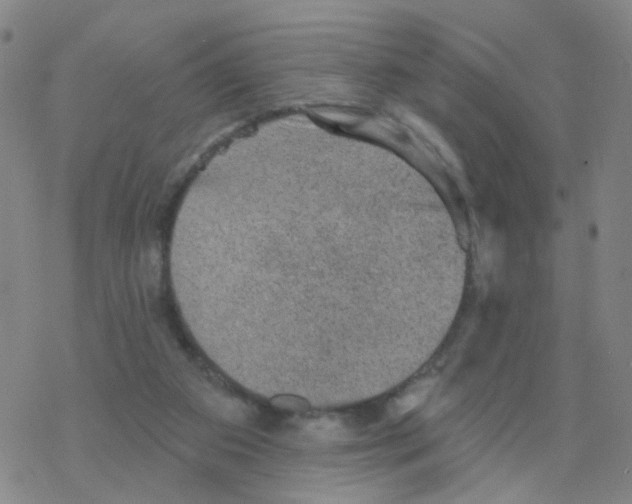 X0000076320113200610272014