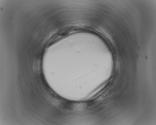 X0000076320115200610272014