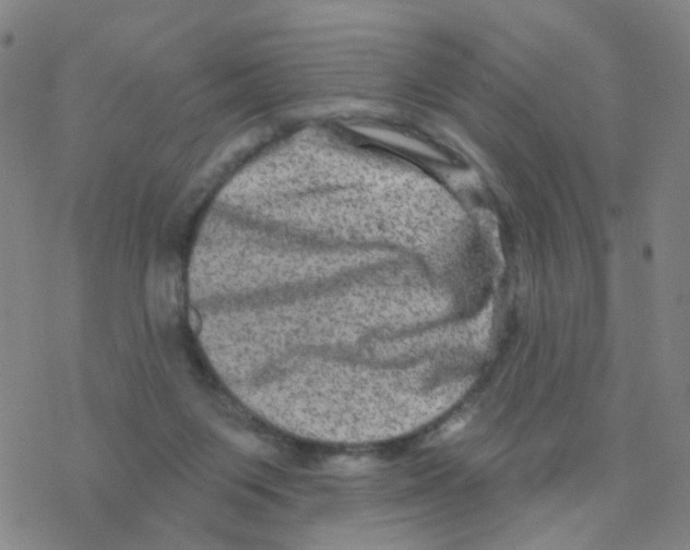 X0000076320119200610272014