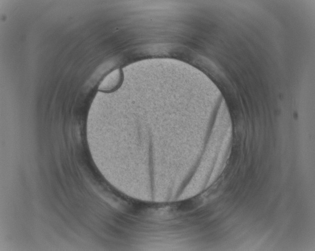 X0000076320120200610272014