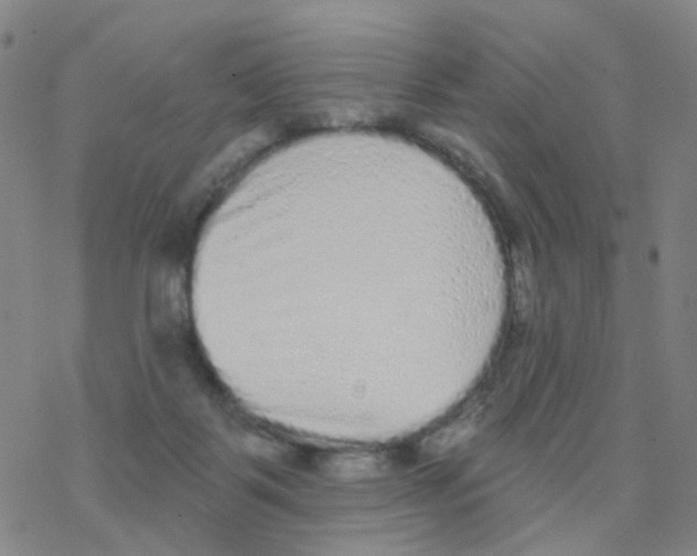 X0000076320123200610272014