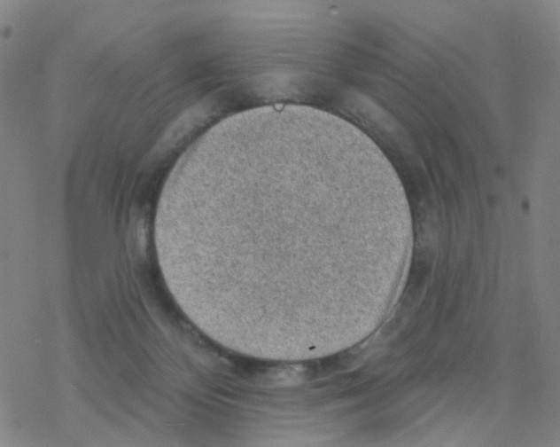 X0000076320124200610272014