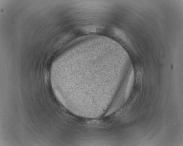 X0000076320125200610272014