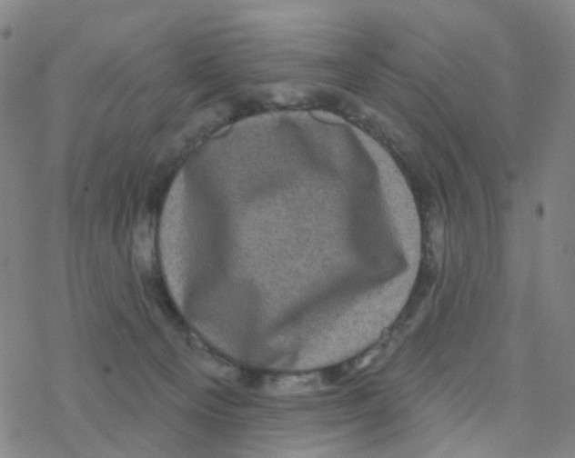 X0000076320129200610272014