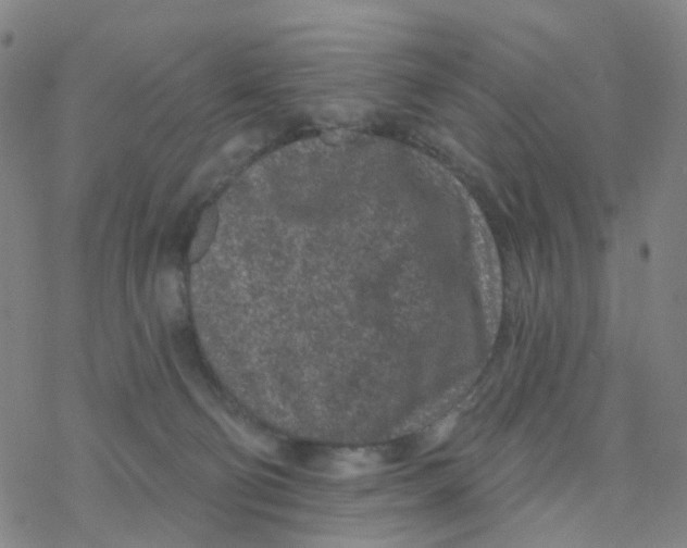 X0000076320130200610272014