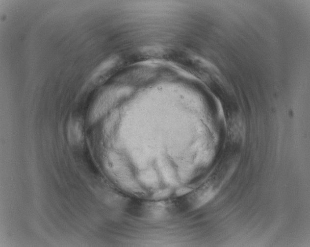 X0000076320131200610272014