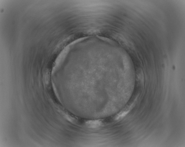 X0000076320133200610272014