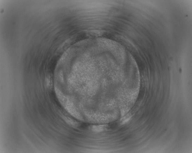 X0000076320134200610272014