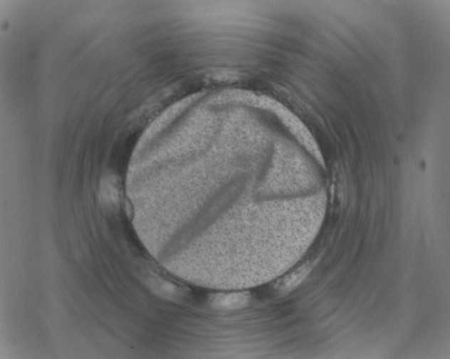 X0000076320135200610272014