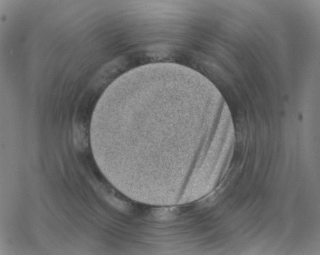 X0000076320136200610272014