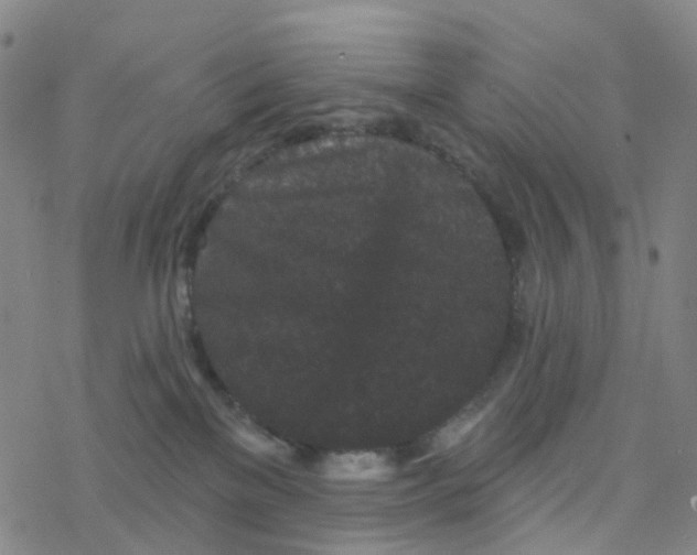 X0000076320137200610272014