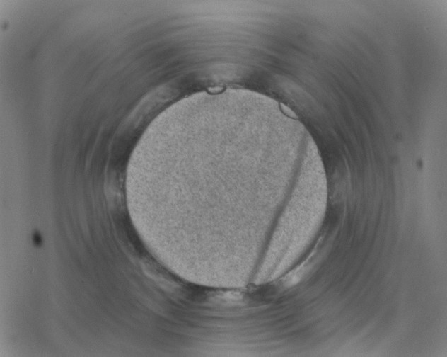 X0000076320140200610272014