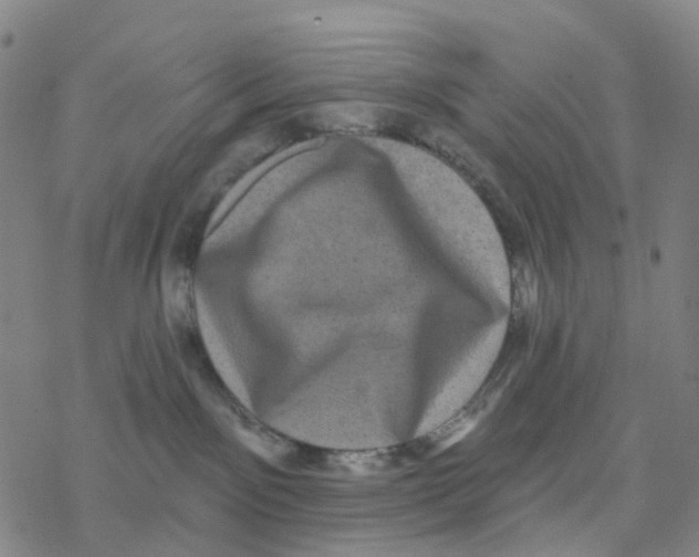 X0000076320141200610272014