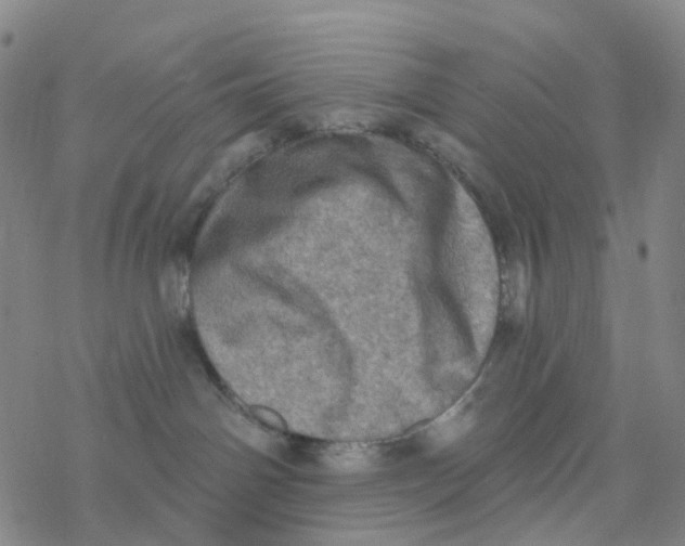 X0000076320142200610272013