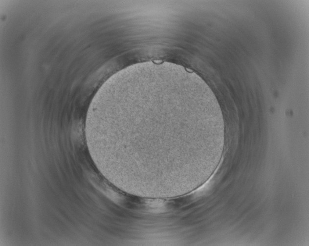 X0000076320144200610272013