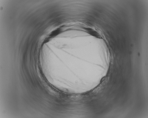 X0000076320145200610272013