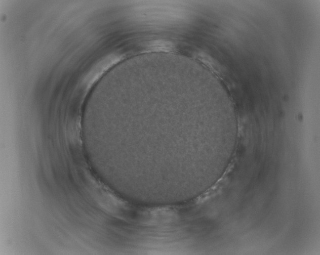 X0000076320146200610272013