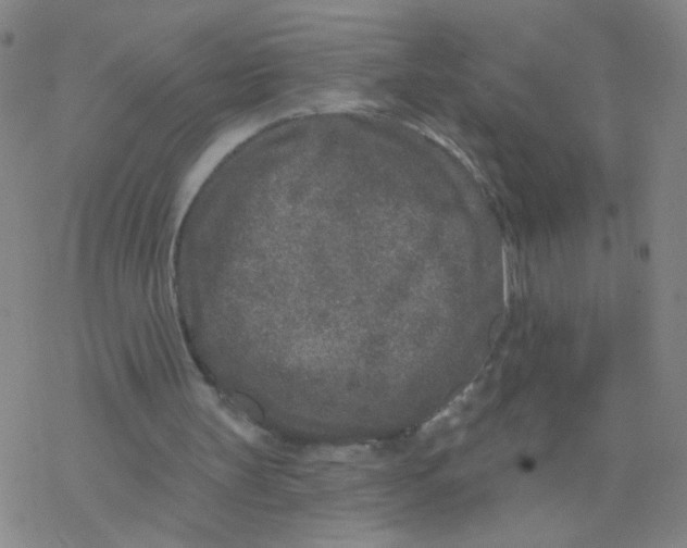 X0000076320147200610272013